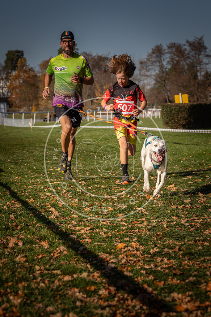 CaniXpix_0L8A6759 | Hundefotografie, Tierfotograf, Pfotenfotografie, Fotoshooting Hund, Hunde Portrait, Hundesport, Hundeportraits, Heideshooting, Hunde, Sportfotograf, Hundefotograf, Turnierhundsport, THS,  - Realisiert mit Pictrs.com