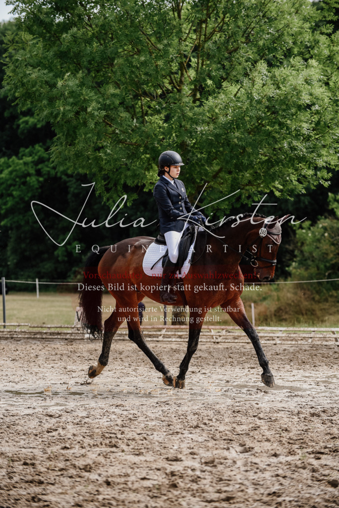 DSC_9637 | Pferde- und Turnierfotografie in Westsachsen. Pferdeportraits, Auftragszeichnungen und intuitive Kunst.