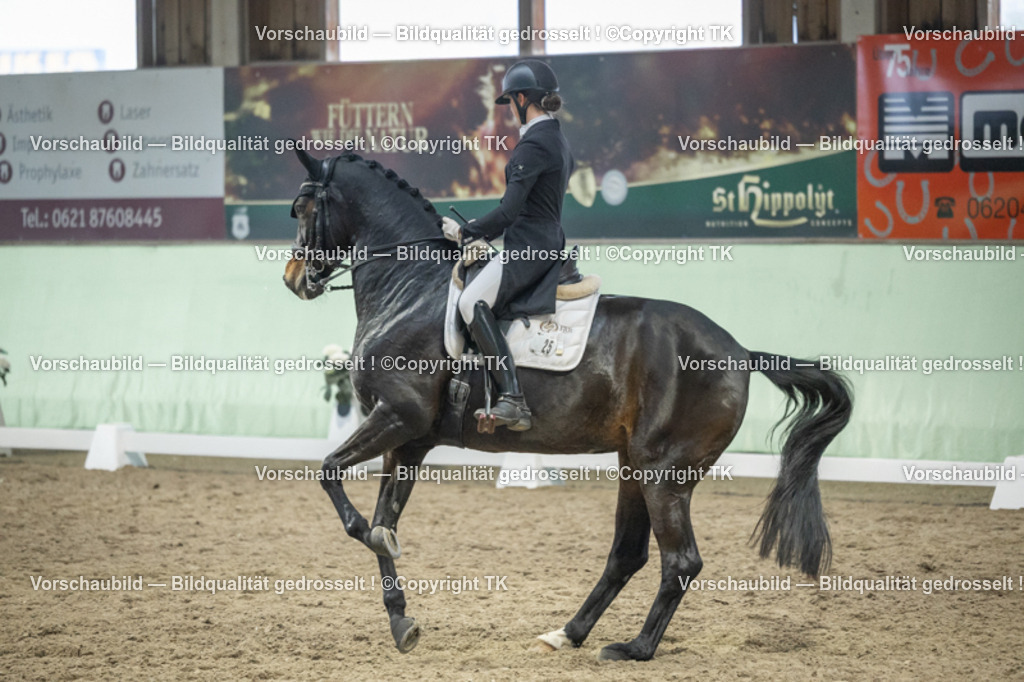 _D5A7029 | Emotionale Pferde- & People-Fotografie rund um Heidelberg, Leimen & Umgebung. Natürliche Fotos von Pferd, Mensch & Familie. Jetzt Termin sichern!