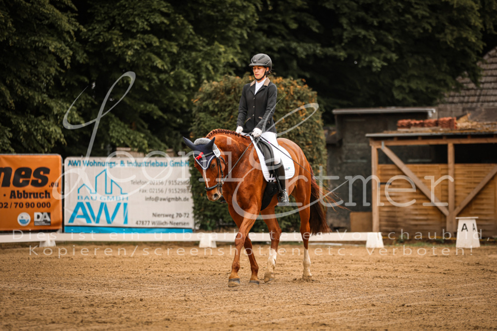 DoDrA00032 | Leoni Ertmer Photography - Realisiert mit Pictrs.com