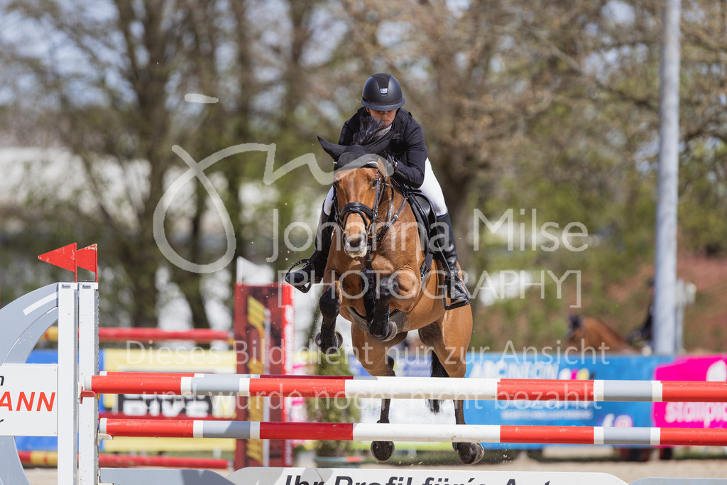 230501_SpengeW_M2St-204 | Deine schönsten Turniermomente als professionelle Fotos! Entdecke hochwertige Pferdesport-Fotografie im Online-Shop. Jetzt Fotos finden & bestellen!