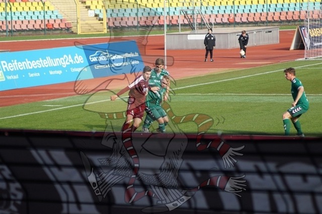 BFC Dynamo vs. FC Schönberg 95 037 | mythos-online-redaktion