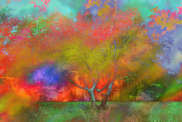 Tree Music - 3D Effects | Admire the beauty of nature with this artistic image in pointillistic style. The elegant outline of a tree stretching its branches is covered by semi-transparent multi-colored spots and dots that float like visual tree music, spreading out into the universe. Ideal for creative studios, wellness clinics, or boutique hotel lobbies. This is a preview image. The original has a resolution of 10630 x 7087 px. - Realisiert mit Pictrs.com