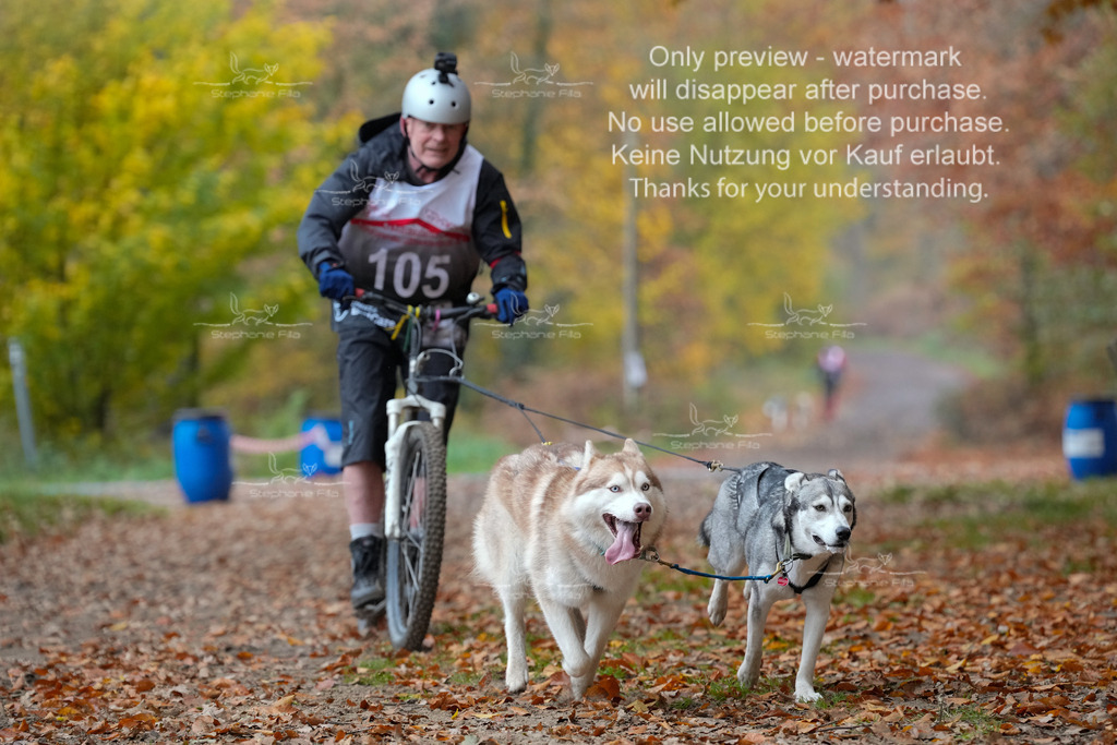 ScooterRigs2dogs_So-16 | stephaniefillaphotographie - Realisiert mit Pictrs.com