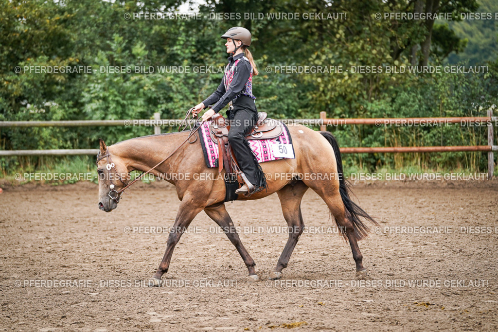 DSC02520 | Pferdegrafie