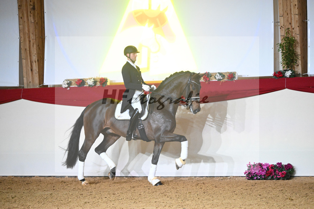 Knock Out_1234866 | hf-fotografie - Realisiert mit Pictrs.com