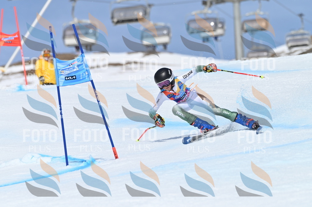 BGV_1108 | holidayphoto