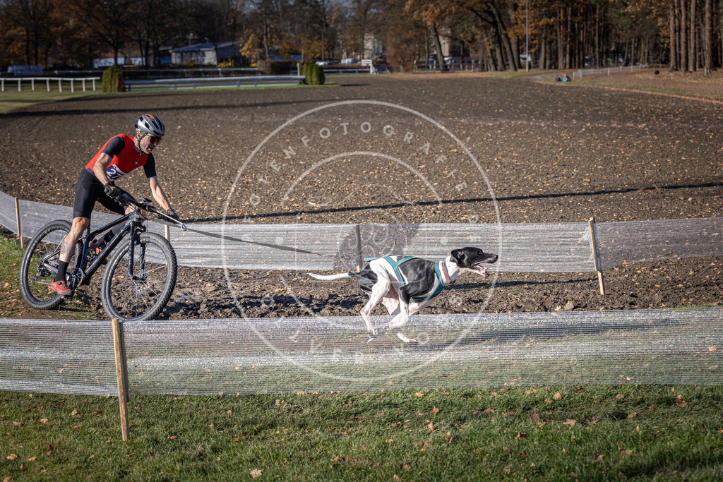 CaniXpix_DV3A5237 | Hundefotografie, Tierfotograf, Pfotenfotografie, Fotoshooting Hund, Hunde Portrait, Hundesport, Hundeportraits, Heideshooting, Hunde, Sportfotograf, Hundefotograf, Turnierhundsport, THS,  - Realisiert mit Pictrs.com