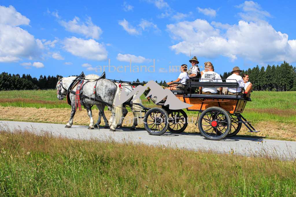 OE7A9908 | Medien- Sport- Entertainmentfotos