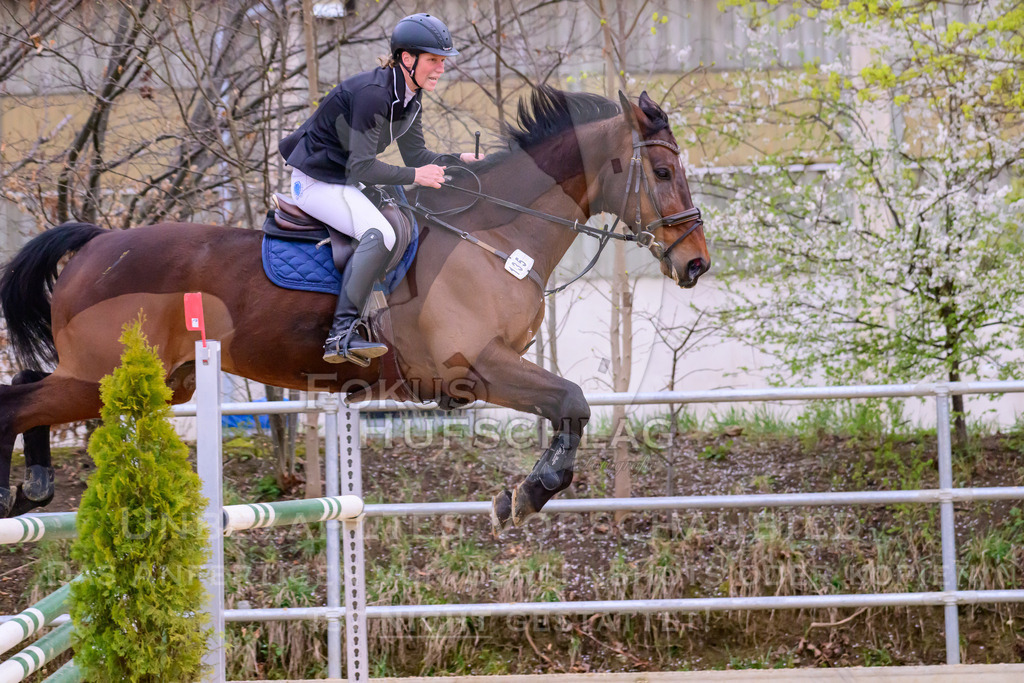 10042026-Mammendorf-Prfg19-0558 | Fokus Hufschlag Fotografie - Realisiert mit Pictrs.com