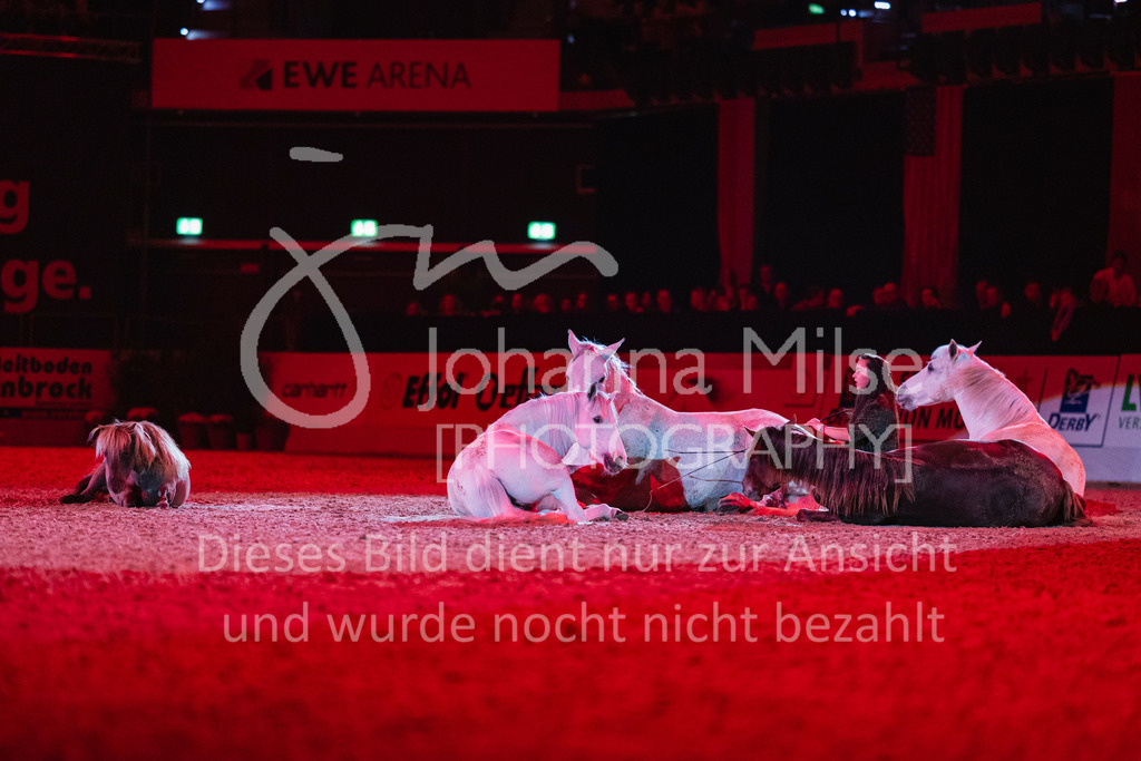 241102_Oldenburg_Show-343 | Deine schönsten Turniermomente als professionelle Fotos! Entdecke hochwertige Pferdesport-Fotografie im Online-Shop. Jetzt Fotos finden & bestellen!