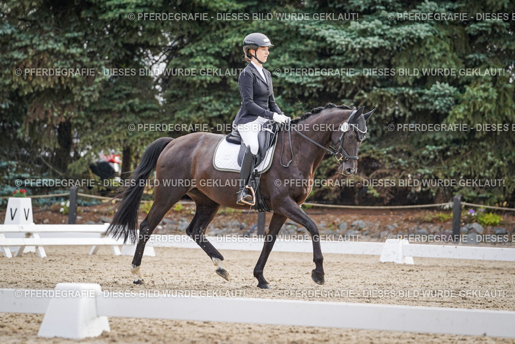 DSC00506 | Pferdegrafie