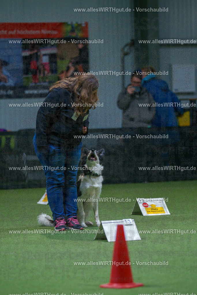 7R501406 | Professionelle Tierfotografie in Mönchengladbach von Daniel Wirth (allesWIRTHgut). Liebevolle & natürliche Bilder von Hunden & Katzen für unvergessliche Erinnerungen.
