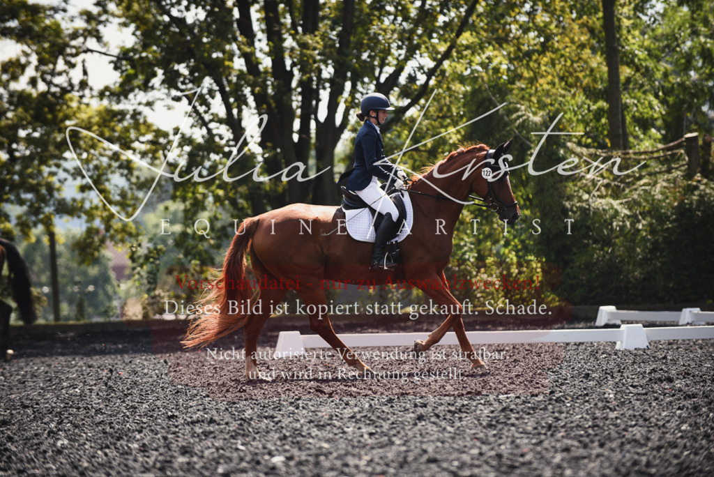 DSC_4113 | Pferde- und Turnierfotografie in Westsachsen. Pferdeportraits, Auftragszeichnungen und intuitive Kunst.