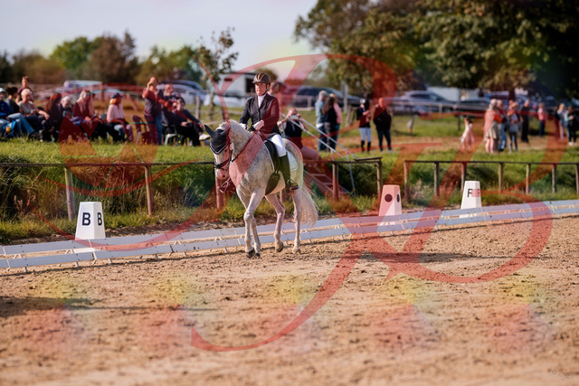 2026_10_03_Siefer-Hof_123009_Z81_28995040 | Professionelle Reitsport-, Turnier- und Eventfotografie von Robert Broda. Galerien mit ausgewählten und bearbeiteten Bildern direkt online ansehen und bestellen.