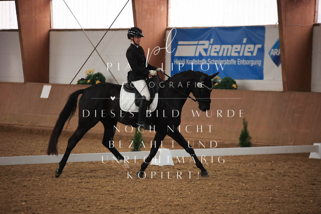 IMGT7046 | pl-fotografie