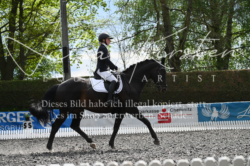 20230512_JK-Röhrsdorf-08-139 | Pferde- und Turnierfotografie in Westsachsen. Pferdeportraits, Auftragszeichnungen und intuitive Kunst.