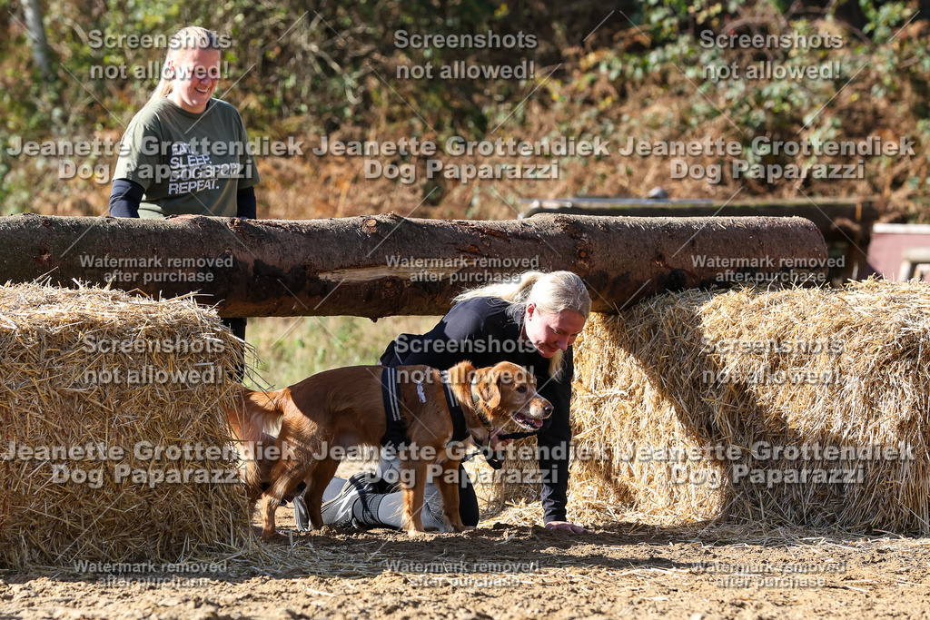 Dog Paparazzi - Strongdog 10-25-4779 | Dog Paparazzi Jeanette Grottendiek Fotografie & Videografie - Realisiert mit Pictrs.com