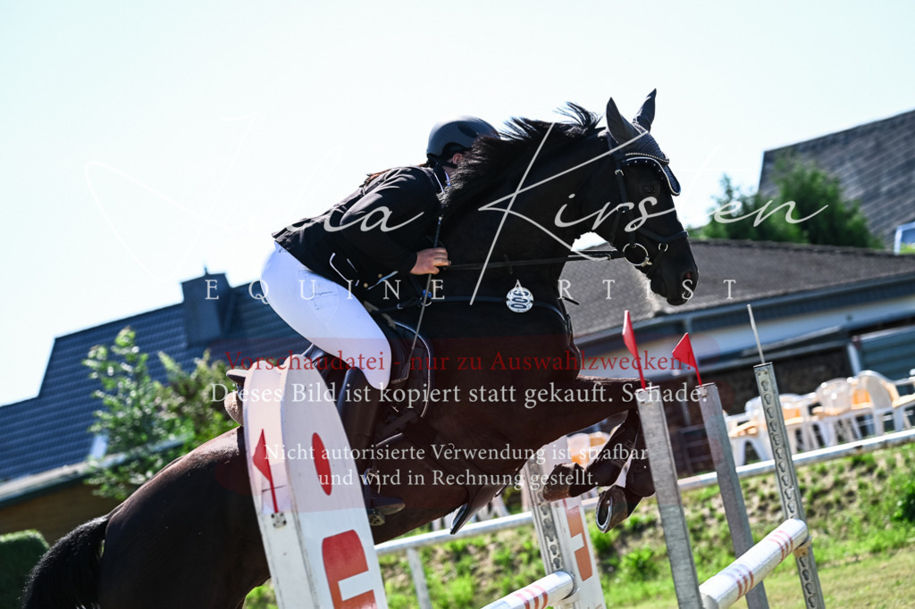 DSC_1632 | Pferde- und Turnierfotografie in Westsachsen. Pferdeportraits, Auftragszeichnungen und intuitive Kunst.