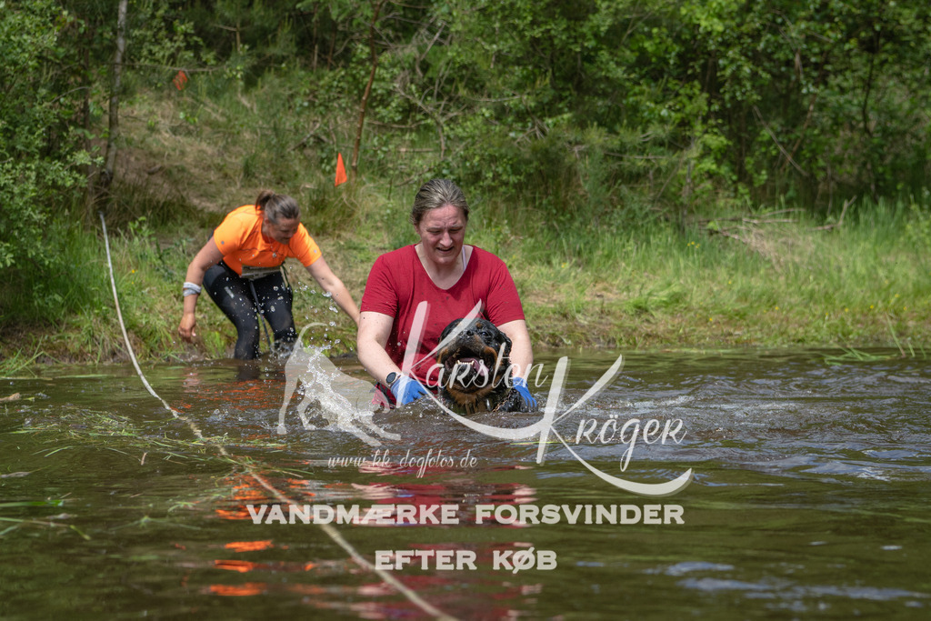1224DKK992771 | kk-dogfotos