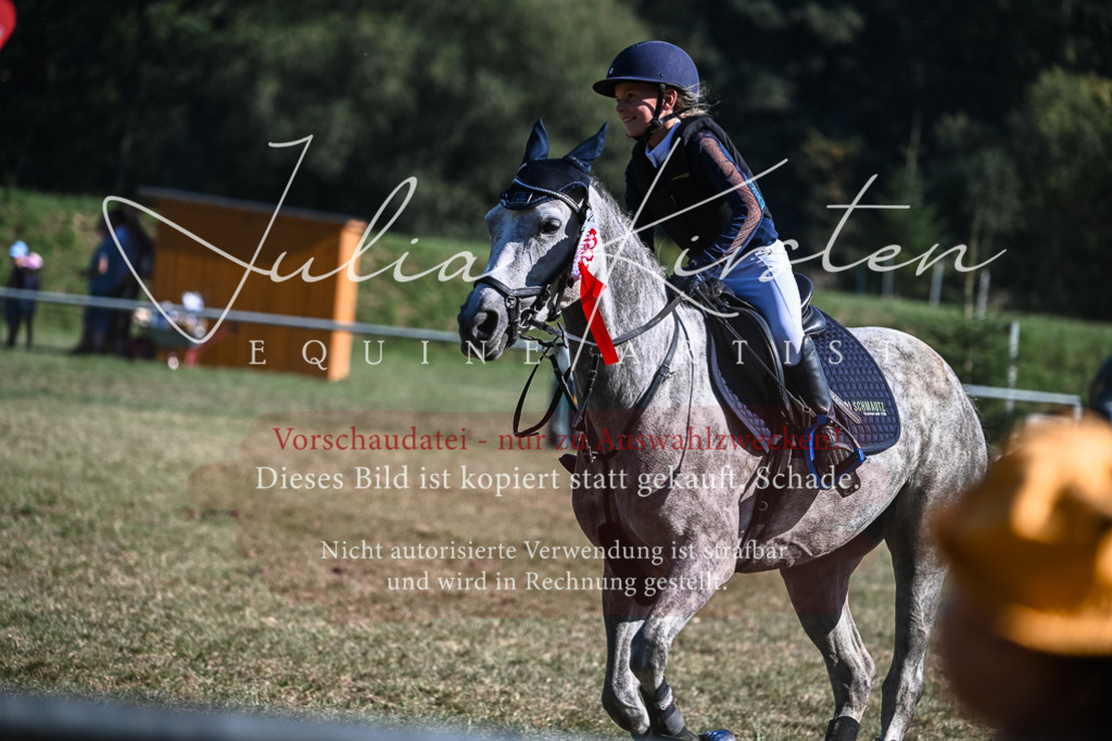 DSC_7042 | Pferde- und Turnierfotografie in Westsachsen. Pferdeportraits, Auftragszeichnungen und intuitive Kunst.