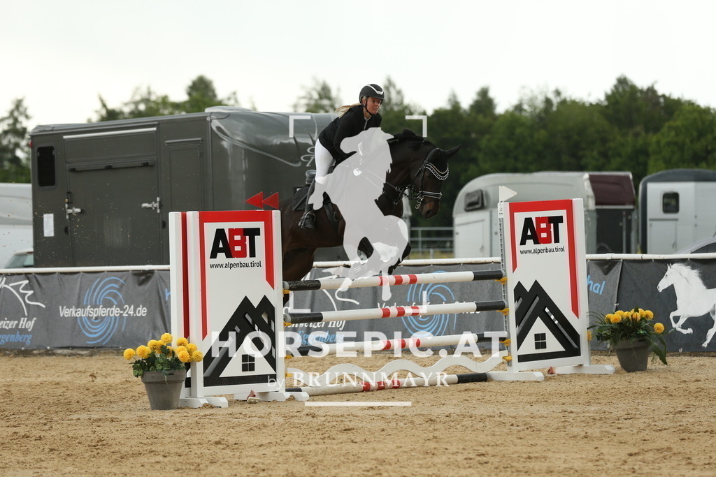 DL2Q2147 | Willkommen bei Brunnmayr - Design & Fotografie – Ihrem Spezialisten für Reitturniere und Pferdeveranstaltungen in Oberösterreich, Salzburg und Bayern! Seit über 17 Jahren sind wir leidenschaftlich dabei.