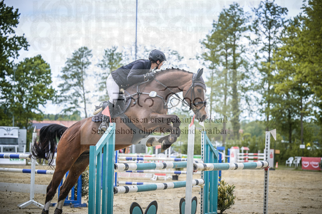DOS_8962 | Entdecke hochwertige Reitturnierfotos von Foto Oger. Professionell, emotional und authentisch – jetzt Lieblingsmomente im Shop bestellen. - Realisiert mit Pictrs.com