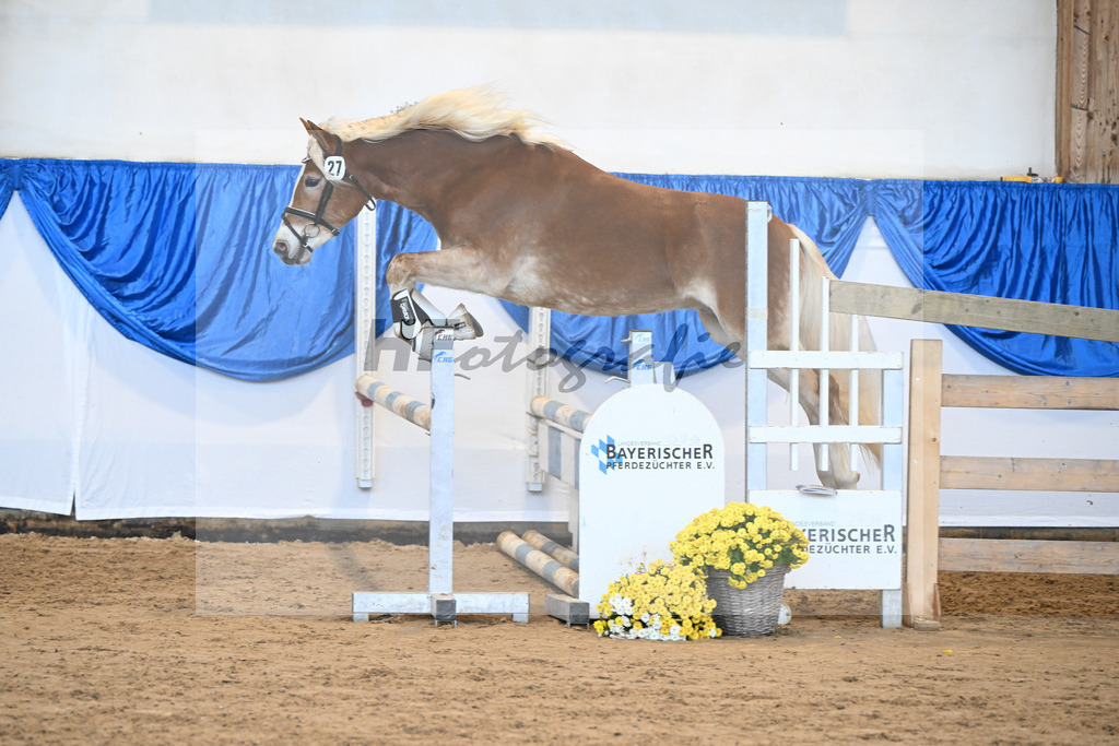 Kat-Nr. 27 Starkuri L v. Starino I_ZG Leeling_48250562 | hf-fotografie - Realisiert mit Pictrs.com