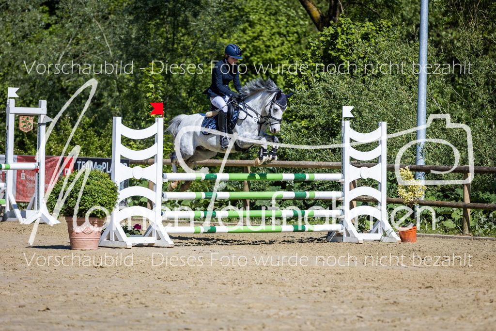 Donop24-A2Spr-173 | MomenTaufnahmen Pferdesportfotos