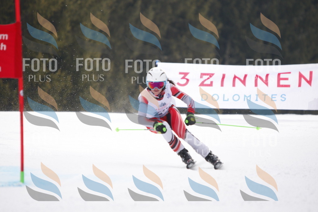 D4923 | holidayphoto