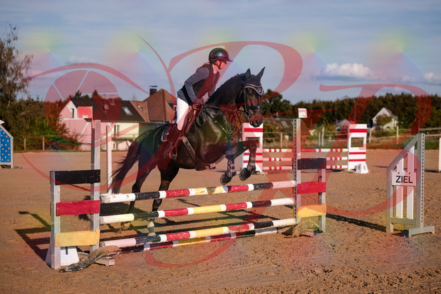 2026_10_03_Siefer-Hof_171517_Z81_12338372 | Professionelle Reitsport-, Turnier- und Eventfotografie von Robert Broda. Galerien mit ausgewählten und bearbeiteten Bildern direkt online ansehen und bestellen.