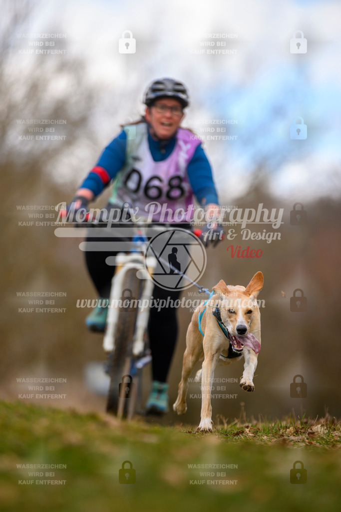 MompixPhotography_10Schwabentrail2026_SO_Bike-75 | PayLife