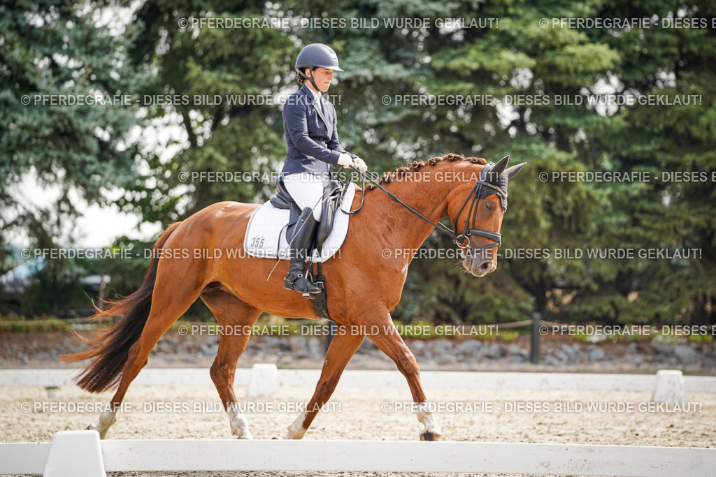 DSC07487 | Pferdegrafie