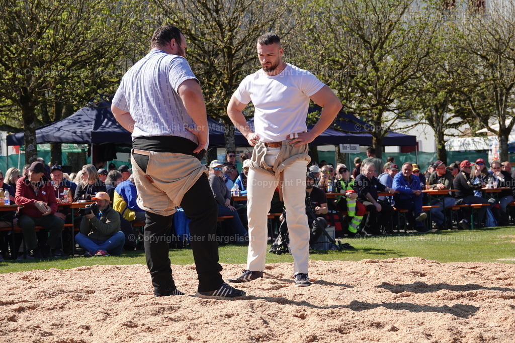 DSC02280 | Schwingen - Realisiert mit Pictrs.com