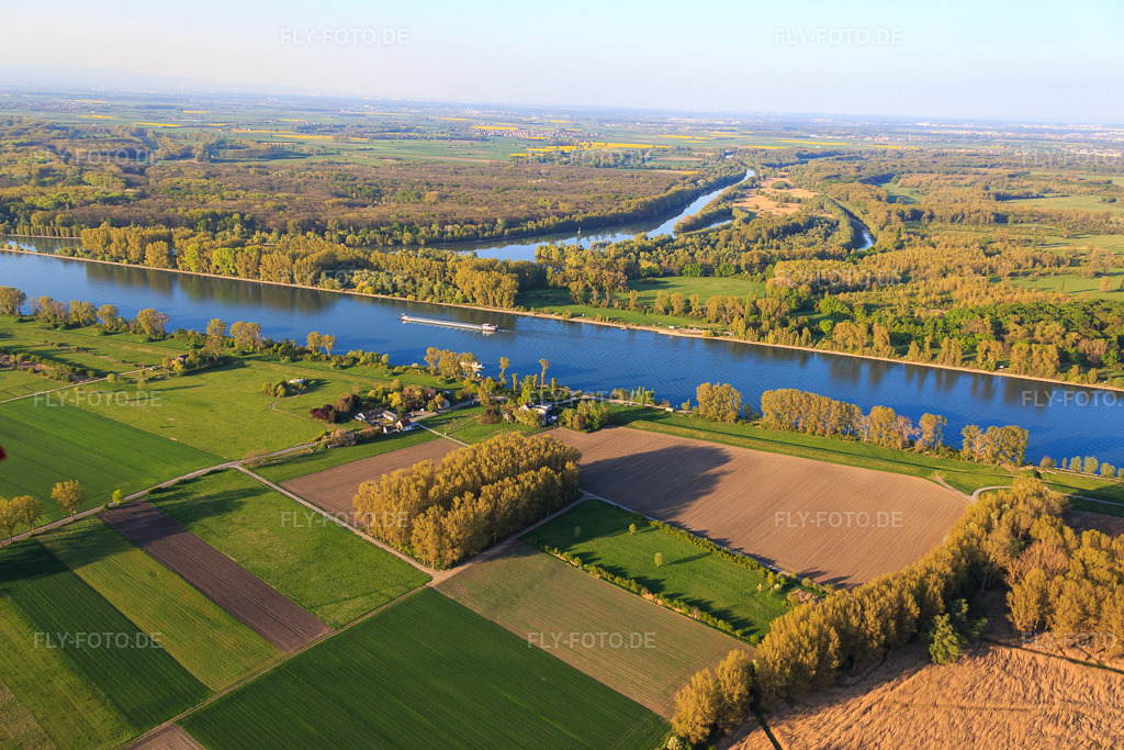 Luftbild: Gasthaus Zum Rheinhof an der NATO-Rampe Guntersblum in Guntersblum im Bundesland Rheinland-Pfalz in Deutschland. Foto: IMG_077643.jpg vom 23.04.2015 durch Werner Riehm/FLY-FOTO.deGasthaus zum Rheinhof - Biergarten und Events
