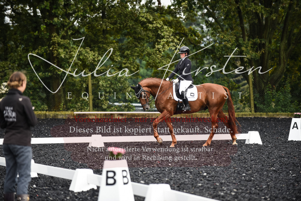 DSC_2882 | Pferde- und Turnierfotografie in Westsachsen. Pferdeportraits, Auftragszeichnungen und intuitive Kunst.