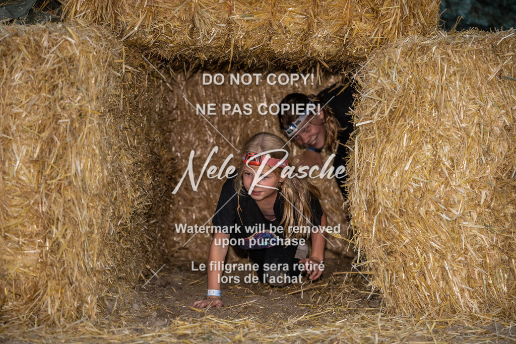 nelerasche_FrNacht_94 | nelerasche