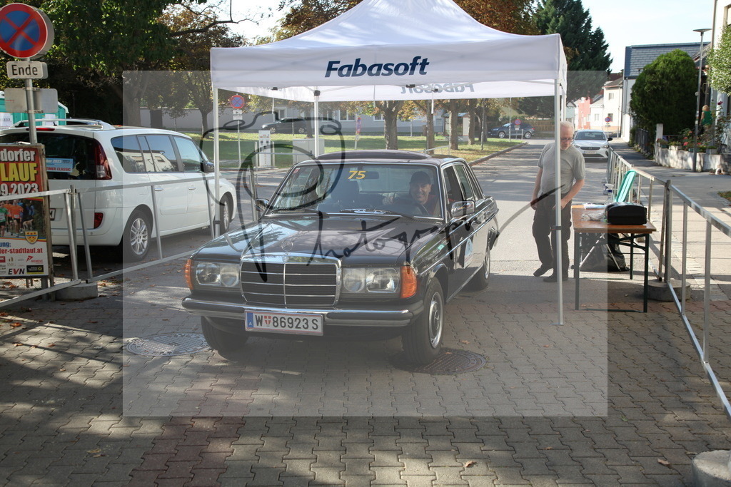 IMG_4234 | Gerhard Witt