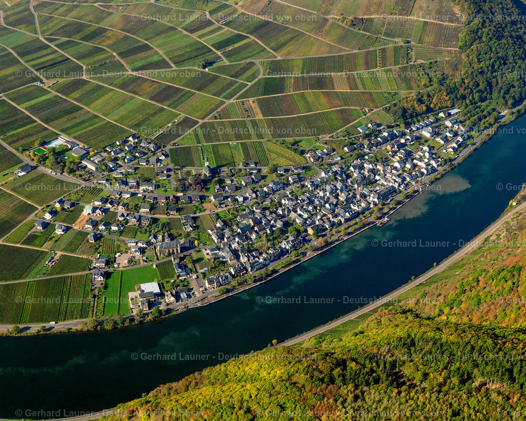 3196672 | Weinberge an der Mosel bei Poltersdorf