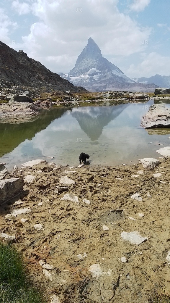 IMG_20250813_140954 | zermatt-wallis-berge-und-mehr - Realisiert mit Pictrs.com