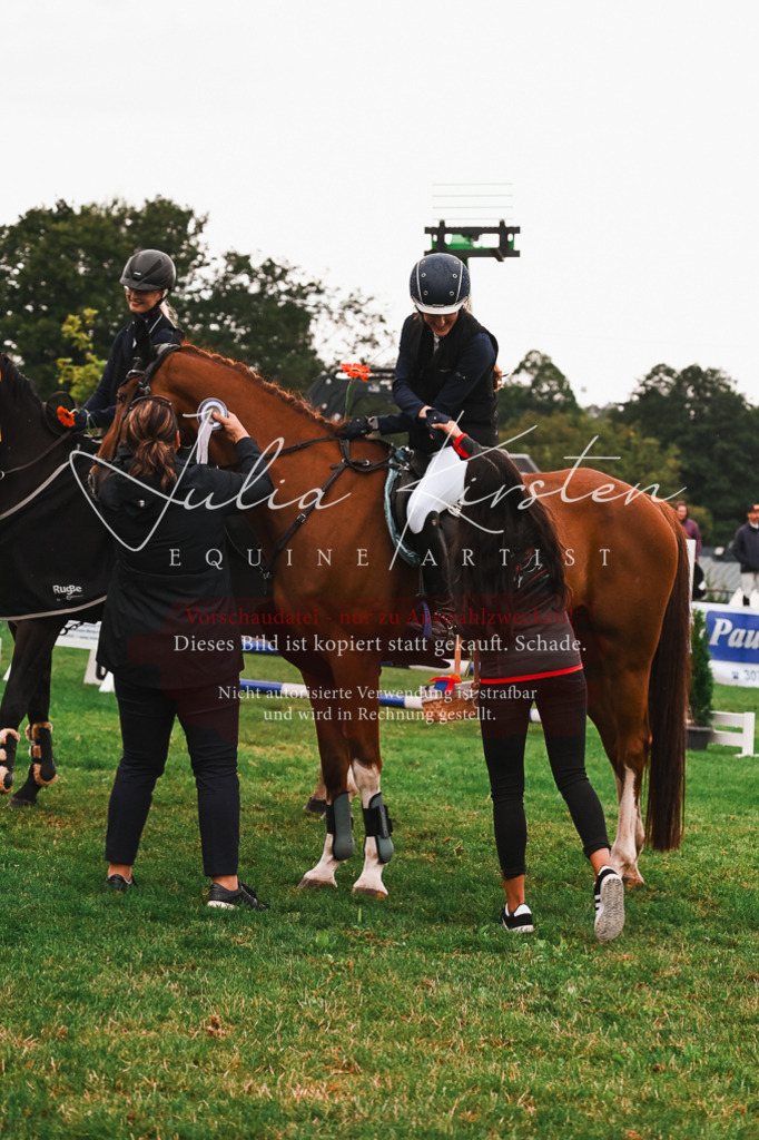 DSC_6670 | Pferde- und Turnierfotografie in Westsachsen. Pferdeportraits, Auftragszeichnungen und intuitive Kunst.