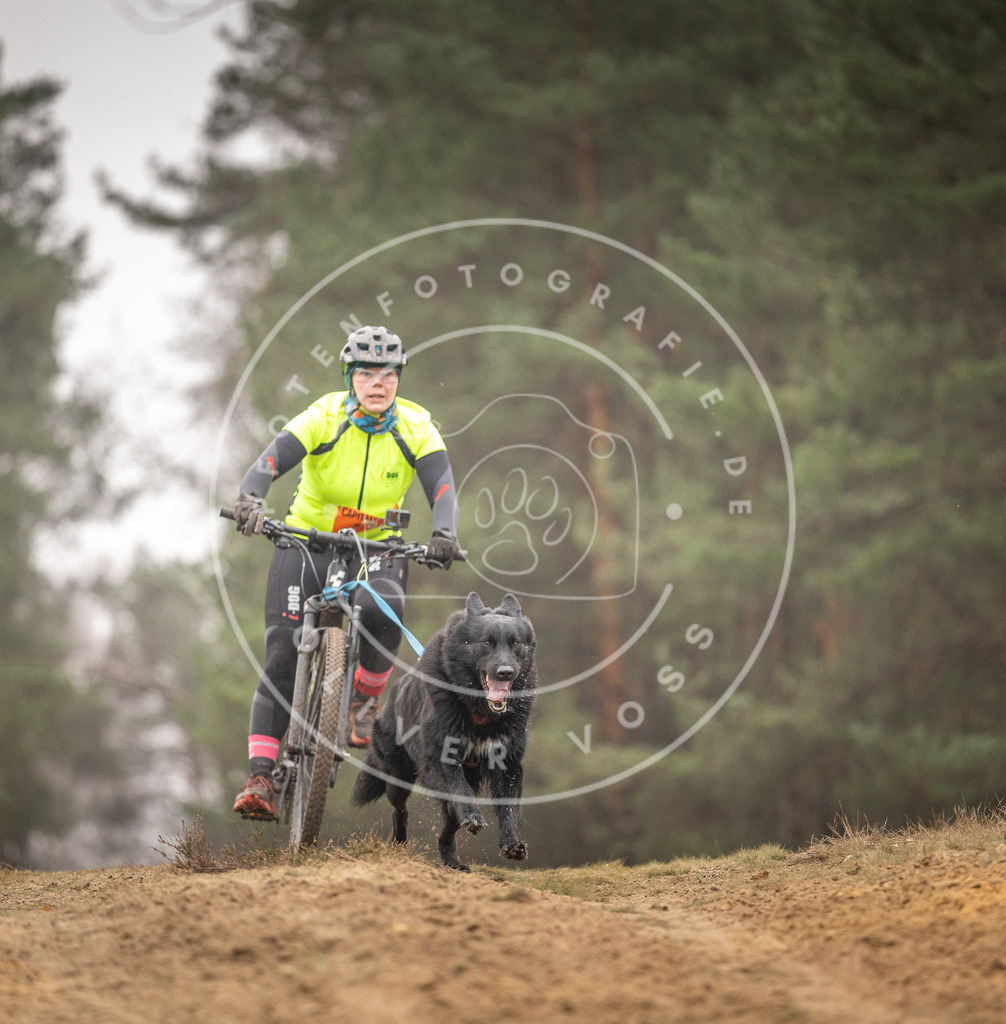 Pfotenfotografie_DV3A3826 | Hundefotografie, Tierfotograf, Pfotenfotografie, Fotoshooting Hund, Hunde Portrait, Hundesport, Hundeportraits, Heideshooting, Hunde, Sportfotograf, Hundefotograf, Turnierhundsport, THS,  - Realisiert mit Pictrs.com