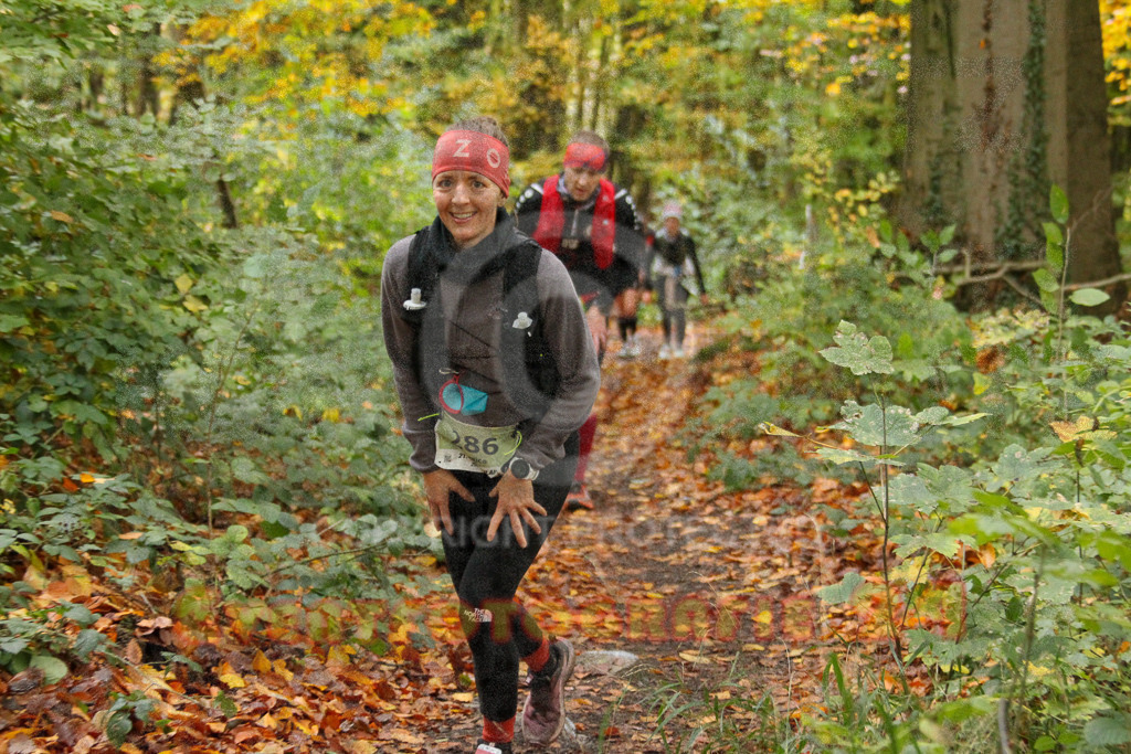 251026_1258_EV4_6205 | Sportfotografie im Rhein-Sieg Kreis, Köln, Bonn, NRW, Rheinland Pfalz, Hessen, etc. Unser Tätigkeitsfeld umfasst den Laufsport vom Volkslauf über den Marathon, Duathlon, Triathon bis zum Ultralauf wie Kölnpfad Ultra oder Schindertrail.
