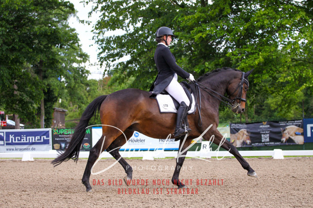 DKP41649 | Deine Turnierfotos vom Reitturnier online kaufen: Dressur, Springen & Siegerehrung. Professionelle Pferdefotografie aus dem Rheinland – als Download & Print.Alternative: Turnierfotograf für den Pferdesport: Finde deine Fotos von Dressur- und Springturnier