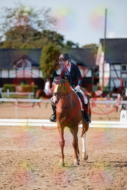 2026_10_03_Siefer-Hof_123806_Z63_55617761 | Professionelle Reitsport-, Turnier- und Eventfotografie von Robert Broda. Galerien mit ausgewählten und bearbeiteten Bildern direkt online ansehen und bestellen.
