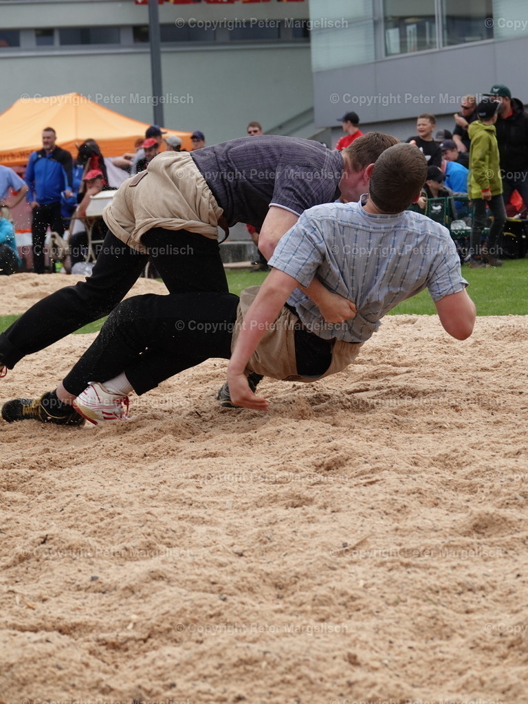 DSC05472 | Schwingen - Realisiert mit Pictrs.com