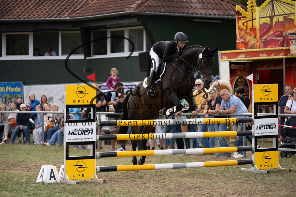 A7V09648 | Pferdefotograf