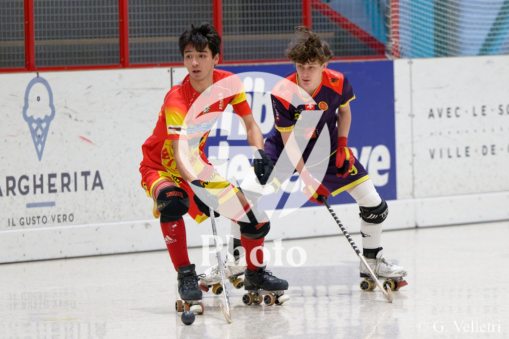 DSC_6158 | Velletri Photo