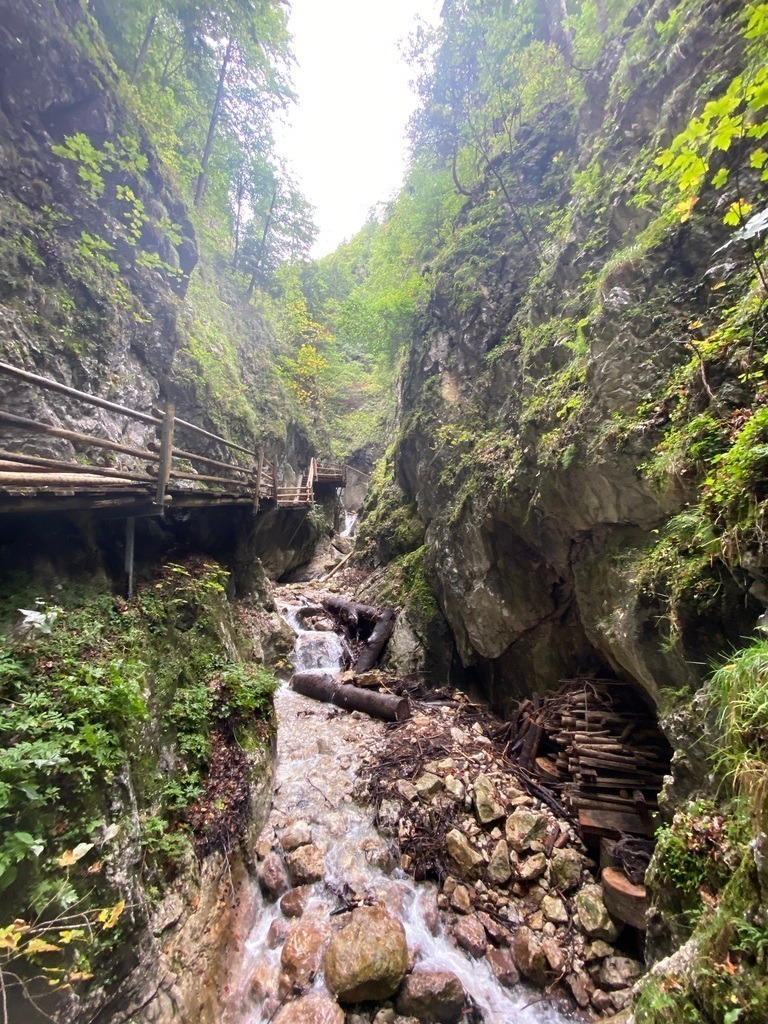 IMG_6082 | ace - Realisiert mit Pictrs.com