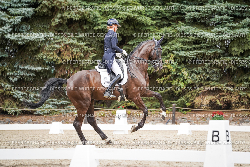 DSC06101 | Pferdegrafie